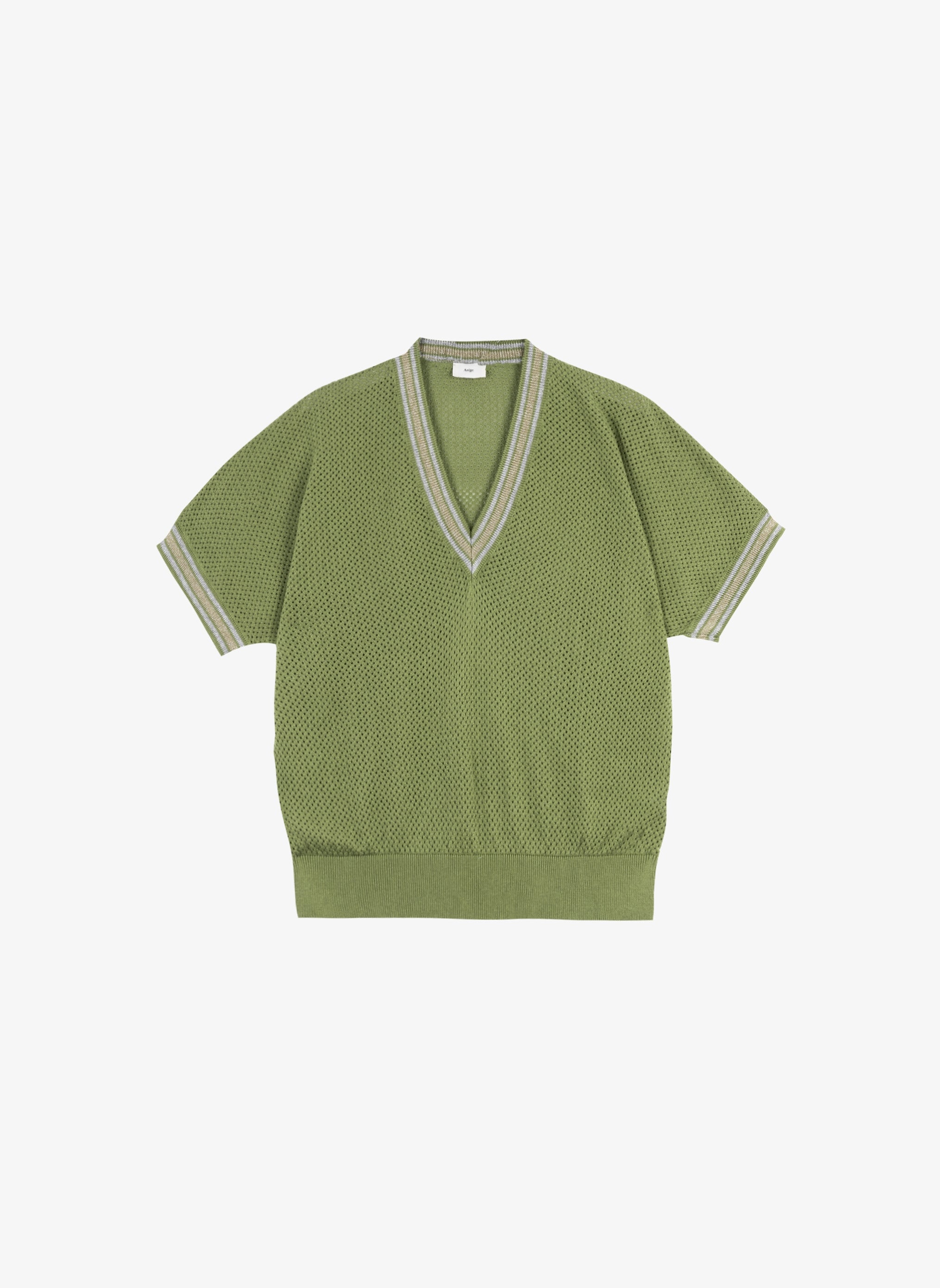PULL LASALSA cactus