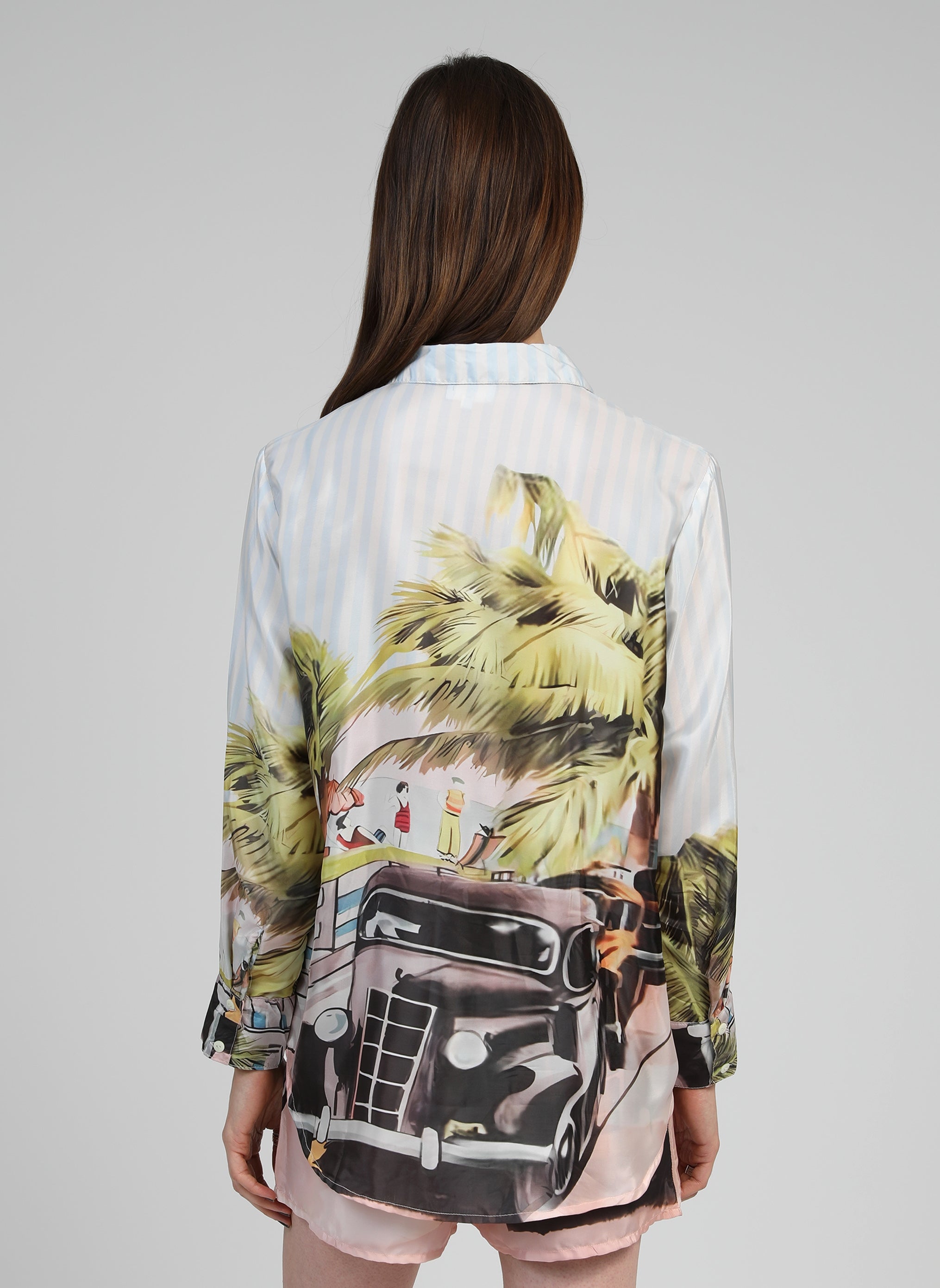 camisa de anís de florida SINARY